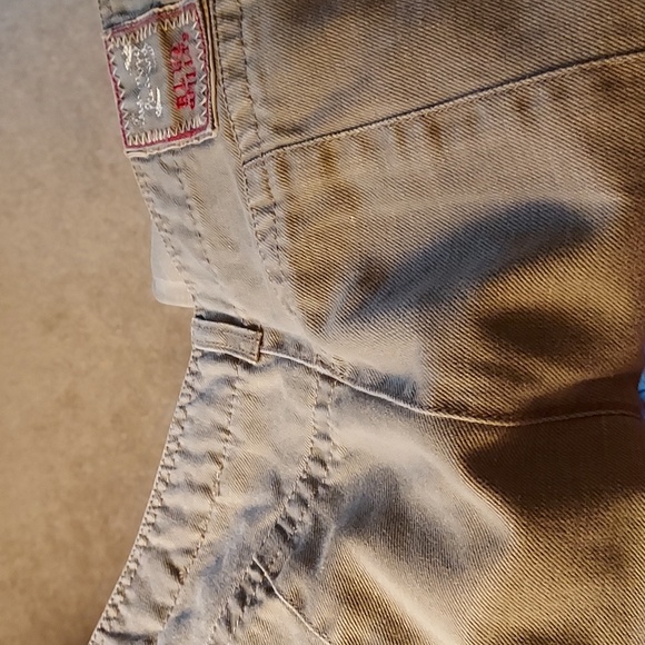 BLUE WILLIS - Picture 5 of 6